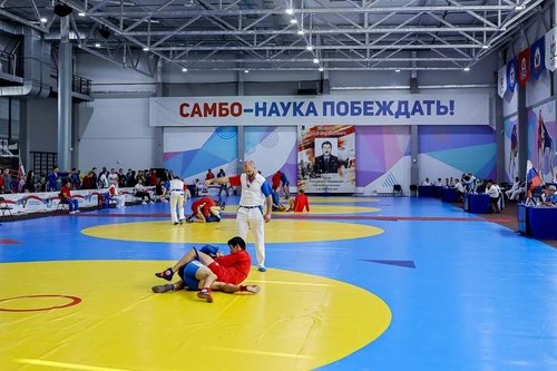 Анализ чемпионата по самбо в Дагестане