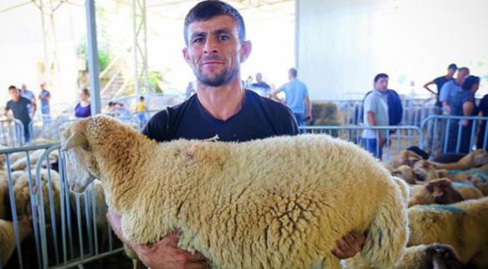 Жители Чечни рассказали о росте цен на жертвенный скот
